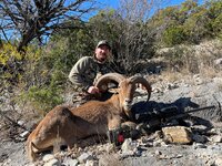 aoudad 5.jpg