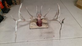 20201126_193306.jpeg
