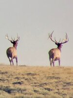 IMG_4866.jpeg