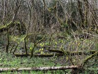 2163FA62-C4EF-42C5-BC80-1D1F3B352150.jpeg