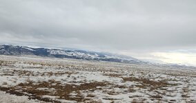 IMG_20210227_170006493.jpg