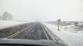 IMG_20210227_170654591.jpg