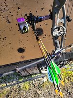 20210301_155436.jpg 20210301_155436.jpg