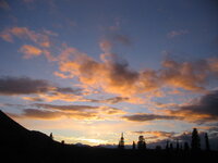 MooseHunt2007 044.jpg