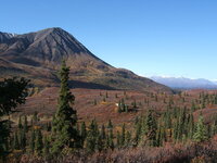 Hunting2006 020.jpg