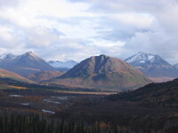 MooseHunt2007 041.jpg