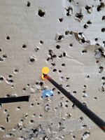 20210303_163318.jpg 20210303_163318.jpg