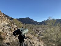 IMG_2204.JPEG