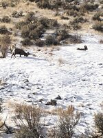 IMG_1037.JPG