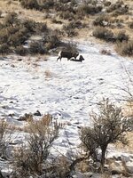IMG_1044.JPG