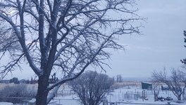 IMG_20210309_070627672.jpg
