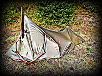 C3257DE3-824D-42B5-9845-2C79E07C2353.jpeg