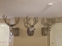 20210310_073509.jpg