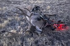 12282020.AZ buck 1 (2).jpg