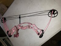 pink3.jpg