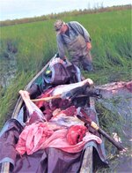 Canoe_Hauling.jpg