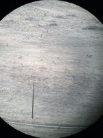 E4CDBA53-A9DA-4676-9B7E-2378BDCB3E37_1_105_c.jpeg
