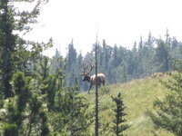 IMG_7743.JPG