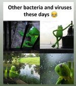 5433F8F6-EC0C-468E-86C2-9B23A9F172C2.jpeg