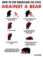 Brazilian Jiujitsu Againt A Bear.jpg