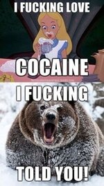 cocaine-bear-i-told-you-1138-1287528514-6.jpg