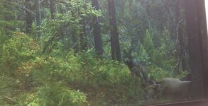 29806F7C-C2D0-4A3D-B3C8-D008B25C85FF.jpeg