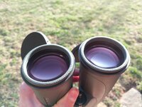 IMG_20210320_183955.jpg