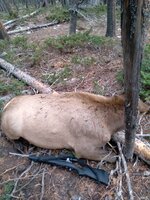 20201015_081506.jpg