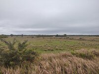 IMG_20210322_113400916.jpg