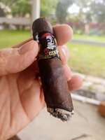 IMG_20210322_163144389.jpg