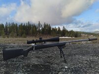 20210328_175913.jpg