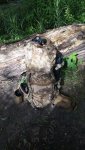 20160618_094459.jpg