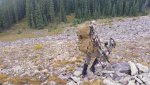 day hunt mode.jpg
