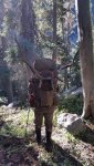 Elk load.jpg