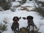 IMG_0666.jpg