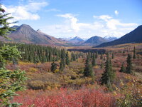Moose hunt (2).jpg