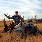 Scott Homrich 2019 Woodland Caribou.jpg