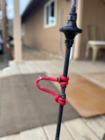 IMG_1382.jpg