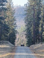 IMG_20210403_081833220~2.jpg