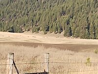 IMG_20210403_082244327.jpg