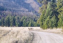 IMG_20210403_082530323.jpg