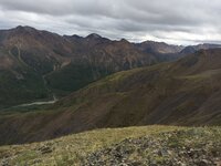 IMG_1785.JPG