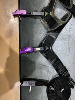 IMG_0323.JPEG