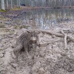 53E6962E-5A69-4B9C-BC4A-6FBE39C4E3BC.jpeg