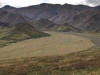 IMG_3756.jpg