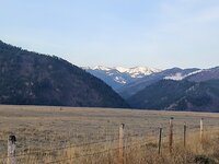 IMG_20210403_075910718.jpg