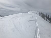 27D359D1-845B-41CA-BF1D-0E2270E7E7B3.jpeg