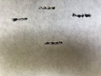 5AC0784B-8DED-4973-84E1-3F63D135B44F.jpeg