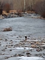 20200124_170529.jpg