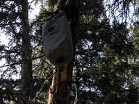 IMG_2038.JPG